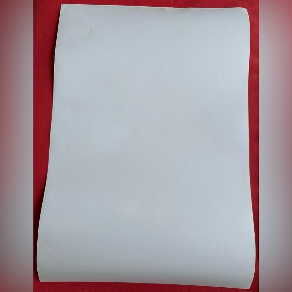 THRILLER - IMAX 3D Michael Jackson Authentic Original Promo Single Sided MINT - Picture 6 of 6